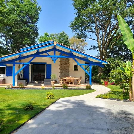 Saint-Martin-de-Seignanx La Clairiere Du Seignanx B&B 외부 사진