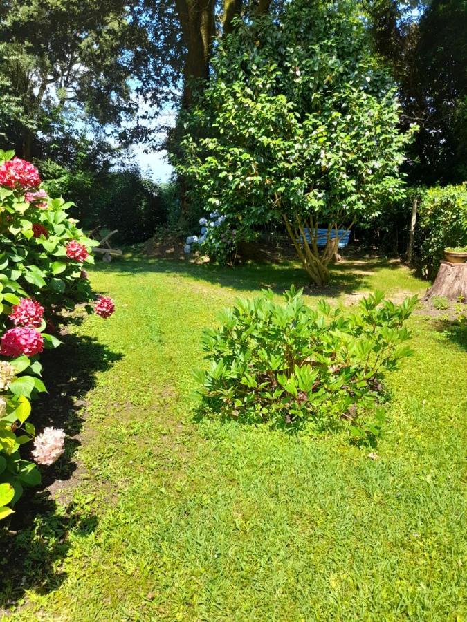 Saint-Martin-de-Seignanx La Clairiere Du Seignanx B&B 외부 사진