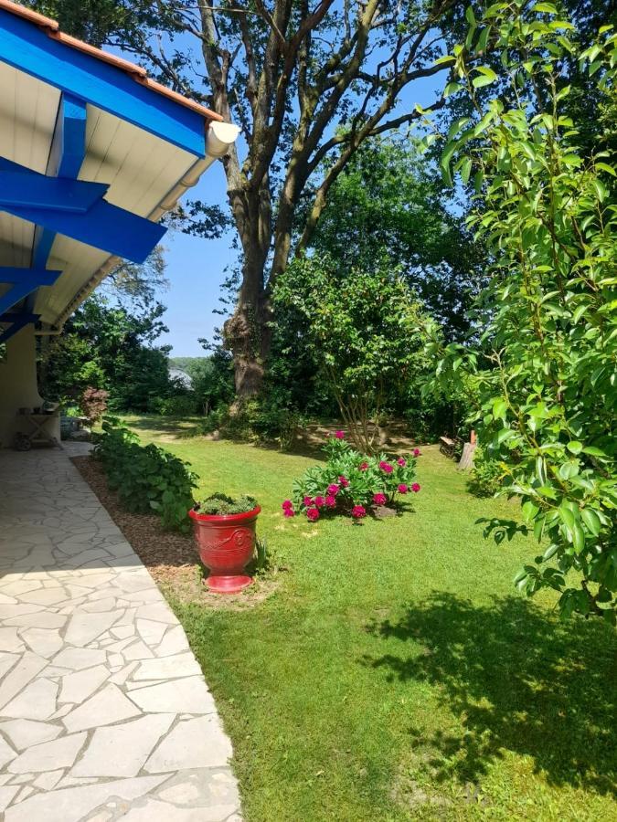 Saint-Martin-de-Seignanx La Clairiere Du Seignanx B&B 외부 사진