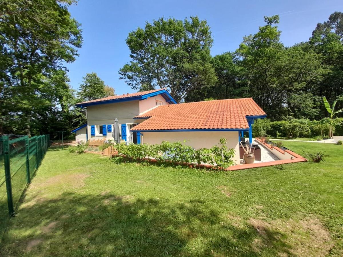 Saint-Martin-de-Seignanx La Clairiere Du Seignanx B&B 외부 사진