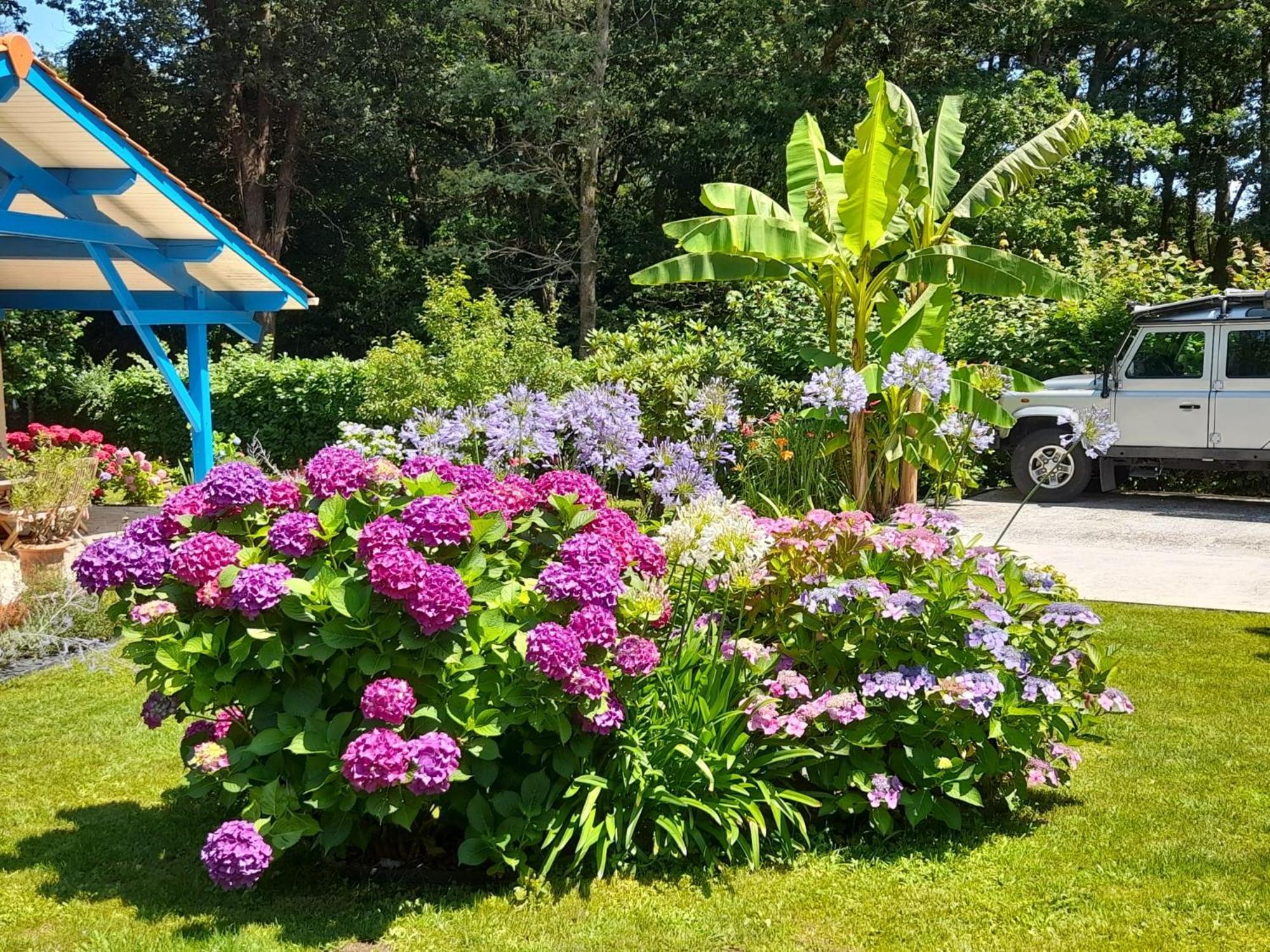 Saint-Martin-de-Seignanx La Clairiere Du Seignanx B&B 외부 사진