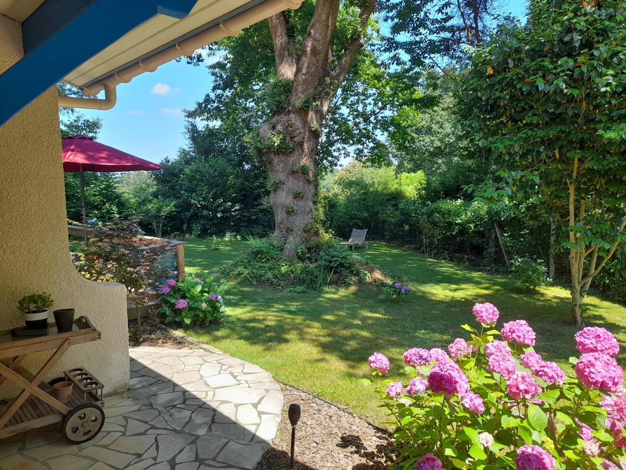 Saint-Martin-de-Seignanx La Clairiere Du Seignanx B&B 외부 사진